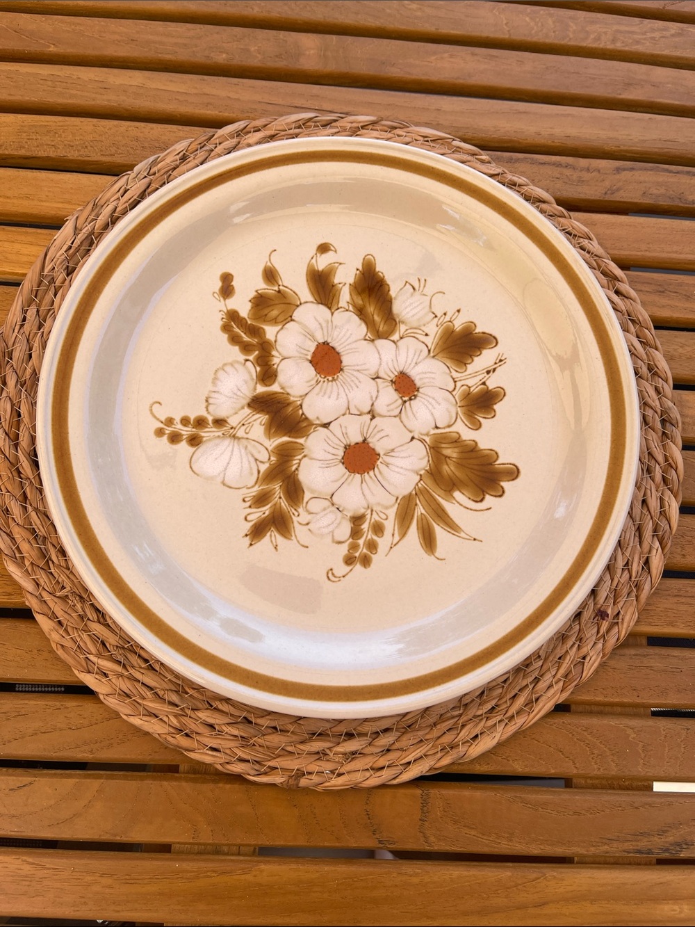 Vintage-Mountain Wood Collection Stoneware 1970’s/ Dried Flowers/ Dinner Plate